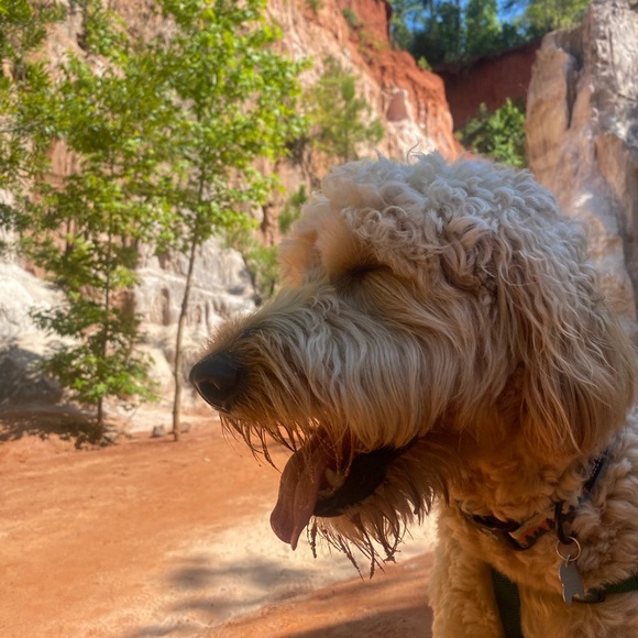 Meet your Posher, Tabatha - Picture 6 of 6